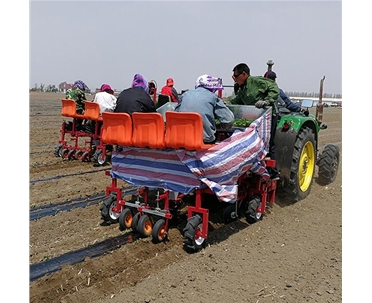 雙行辣椒栽機(jī)