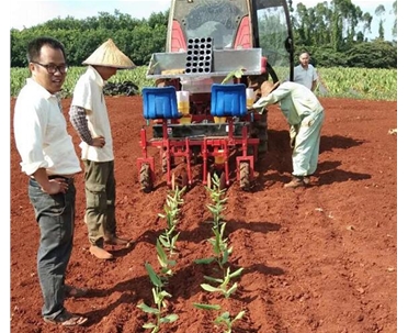 兩行煙草移栽機(jī)